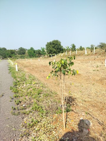 Plot Area in  Plot at Wadegaon – for Sale