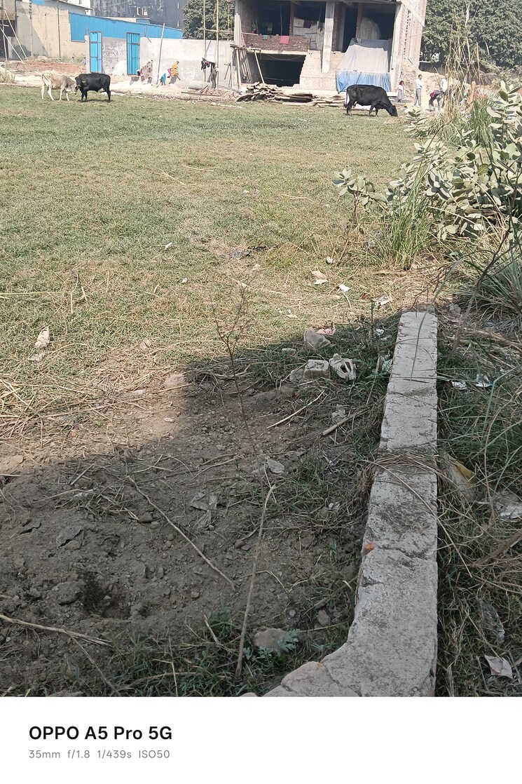 undefined, sk-the-grand-city  1098 Sq.Ft. Plot In Jewar Greater Noida 9500689