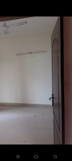 Room in 3 BHK Apartment at Amrapali Zodiac, Sector 120 – for Rent