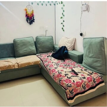 1 BHK Builder Floor For Rent in Gachibowli