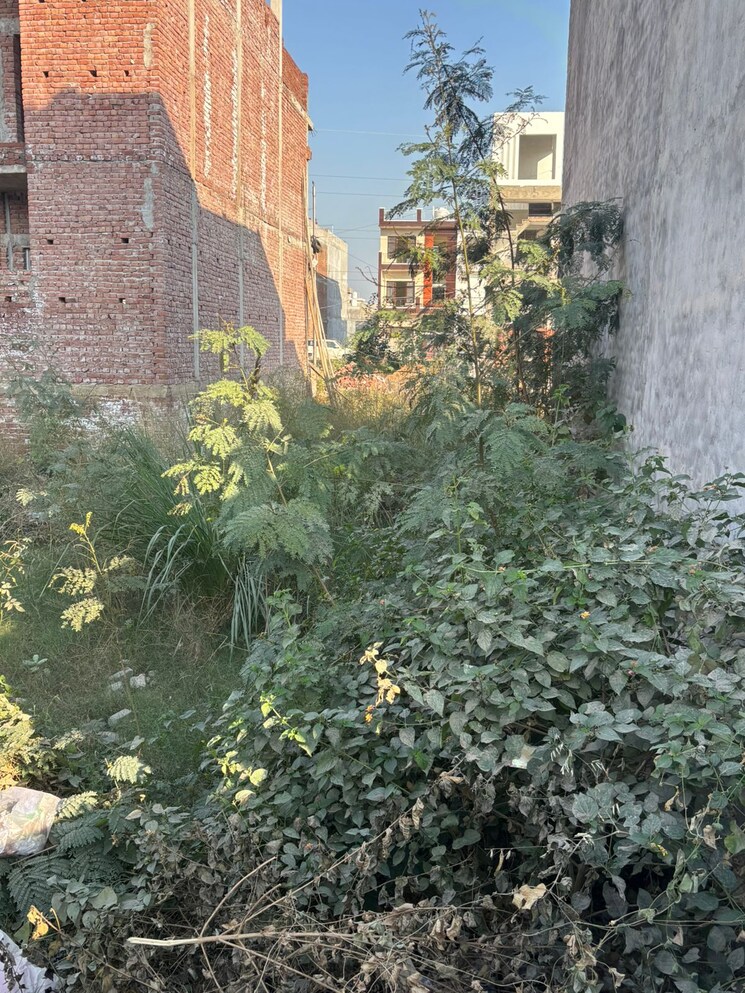 Garden, alaknanda-maxxus-eden-estate  125 Sq.Yd. Plot In Ghazipur Zirakpur 9501522