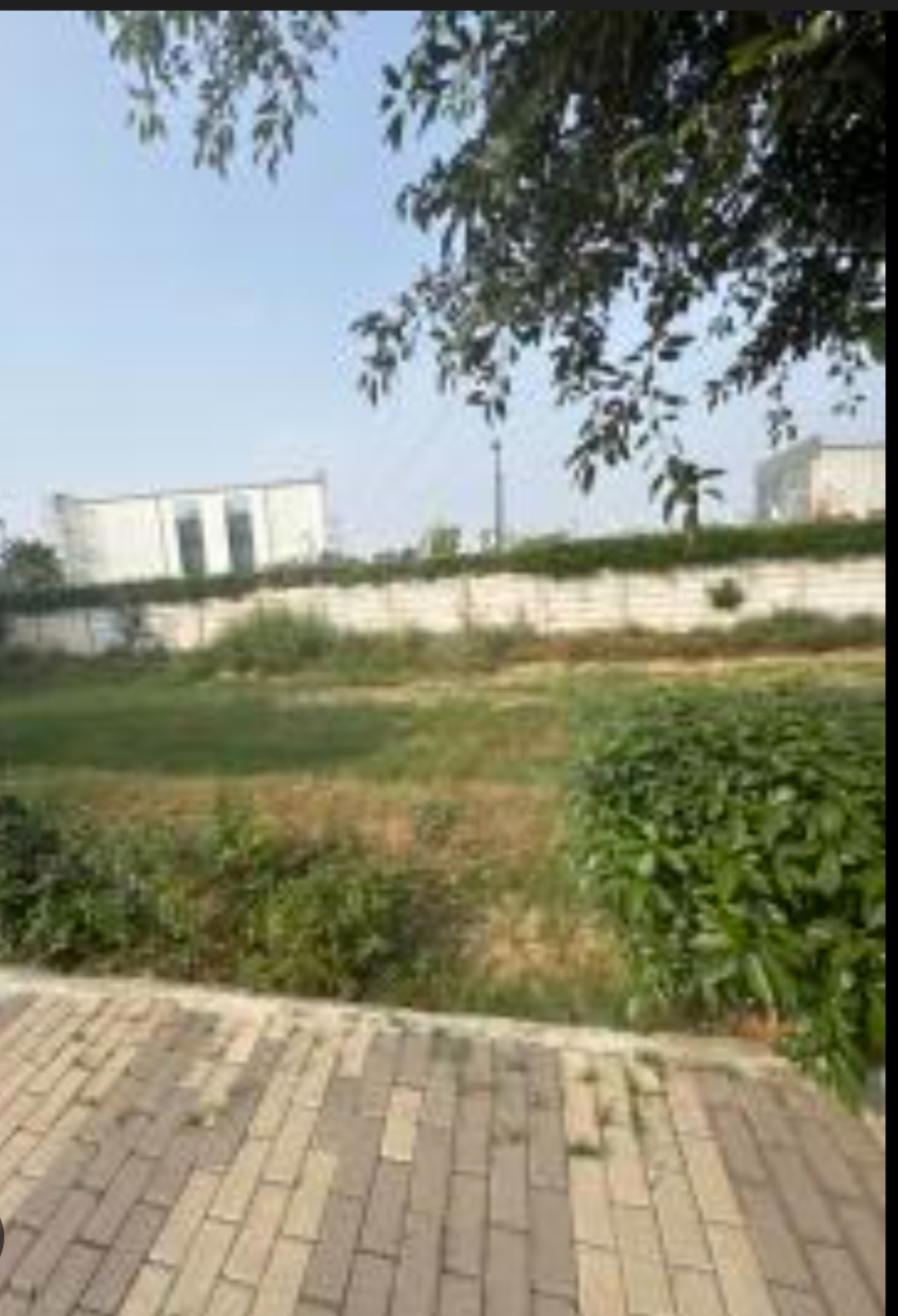 Plot For Sale in Sector 81 District 1 Fari