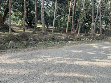 Plot Area in  Plot at Kashipur – for Sale