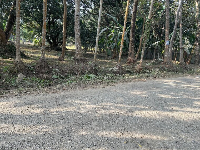 undefined, kashipur  36500 Sq.Ft. Plot In Kashipur Kolkata 9502486