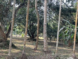 Plot Area in  Plot at Kashipur – for Sale