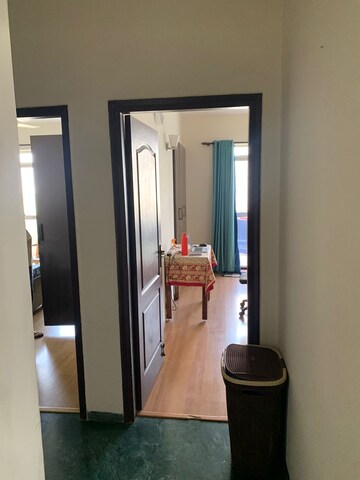 Living Room in 3 BHK Apartment at Vipul Greens, Sector 48 – for Rent