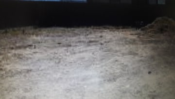  Plot For Sale in Lottegollahalli