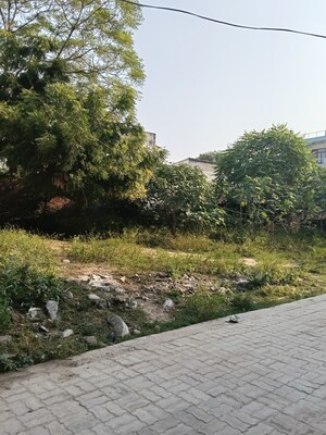  Plot For Sale in Jankipuram