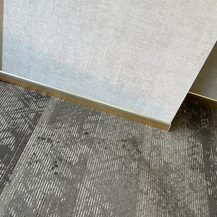 Swimming Pool, tdi city  150 Sq.Yd. Plot In Tdi City Panipat 9504029