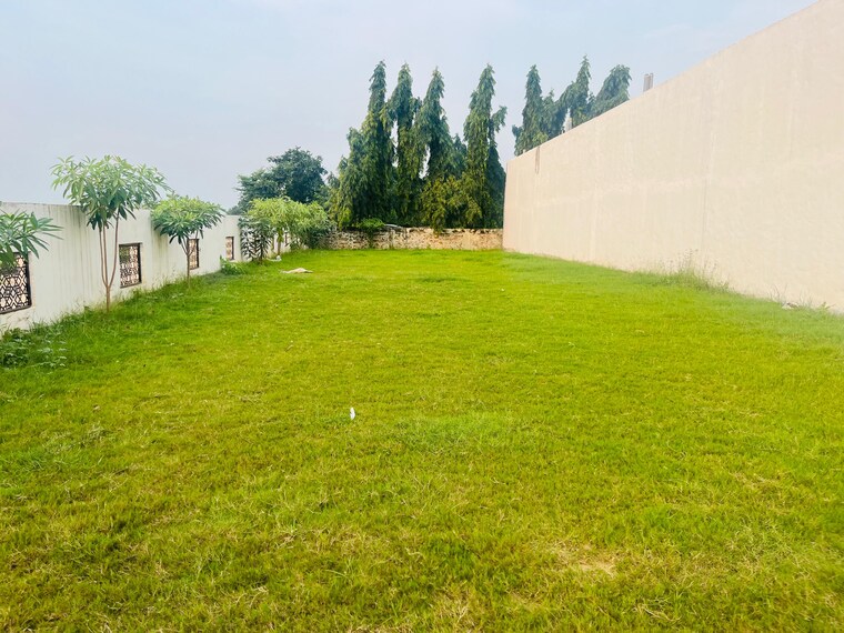 Garden, safedabad  2500 Sq.Ft. Plot In Safedabad Barabanki 9504766