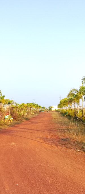  Plot – Garden View at Patrapada - for Sale