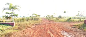 Plot Area in  Plot at Patrapada – for Sale