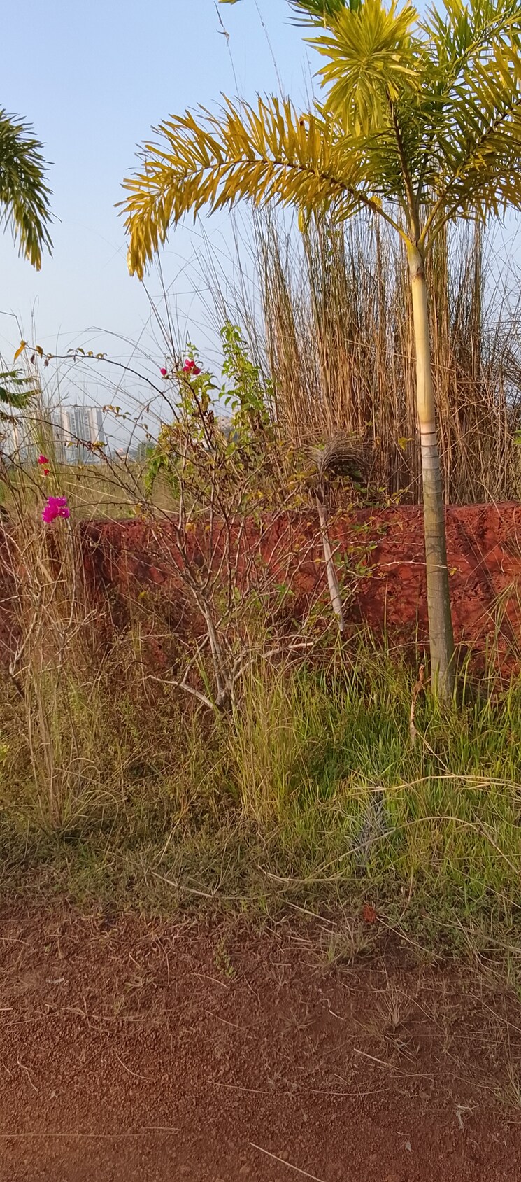 undefined, patrapada  1200 Sq.Ft. Plot In Patrapada Bhubaneswar 9505052