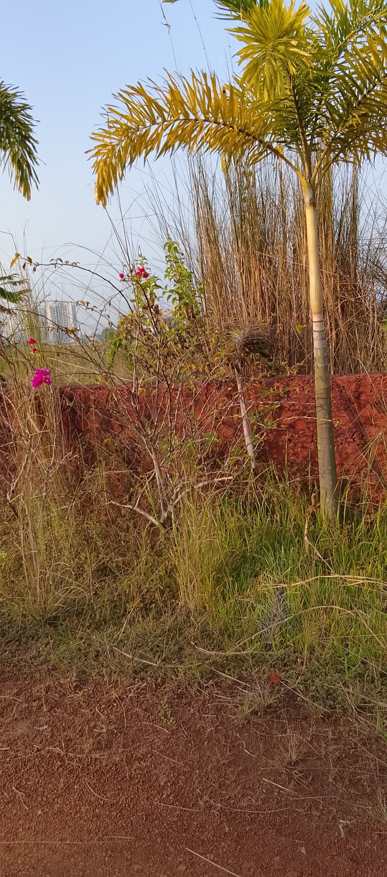 undefined, patrapada  1200 Sq.Ft. Plot In Patrapada Bhubaneswar 9505052