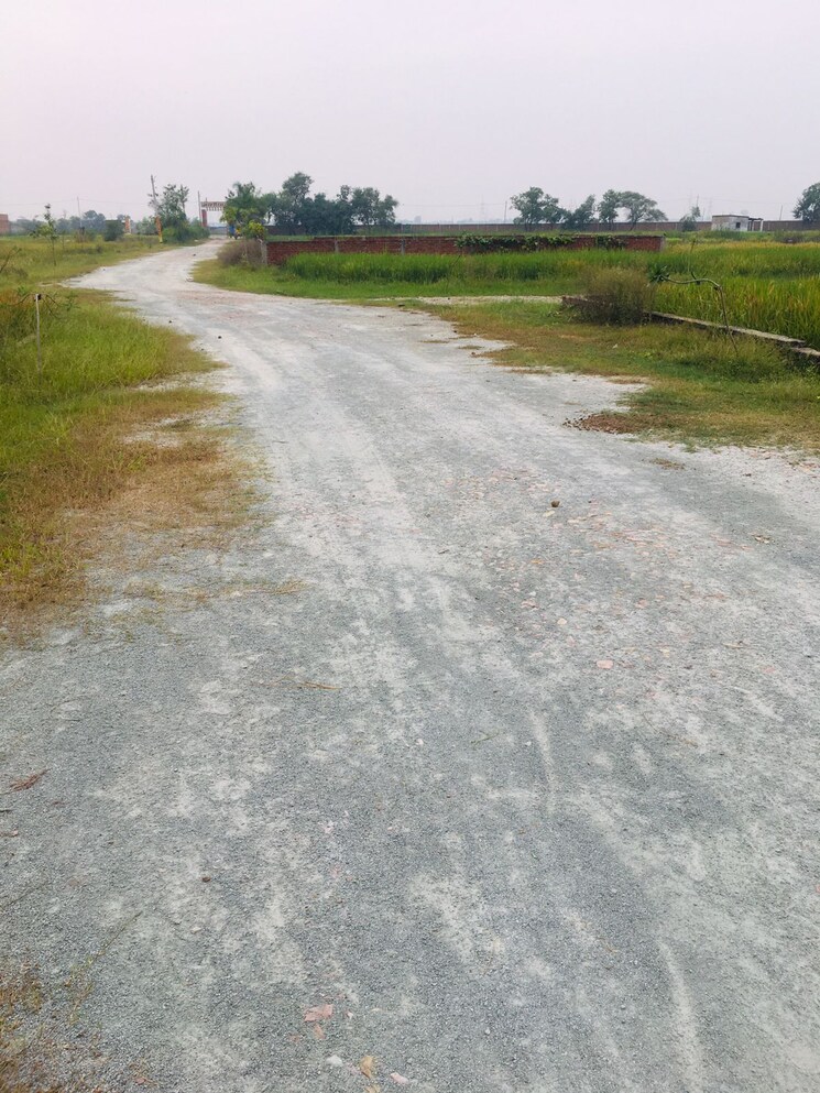 Garden, mughal sarai  1360 Sq.Ft. Plot In Mughal Sarai Varanasi 9505388