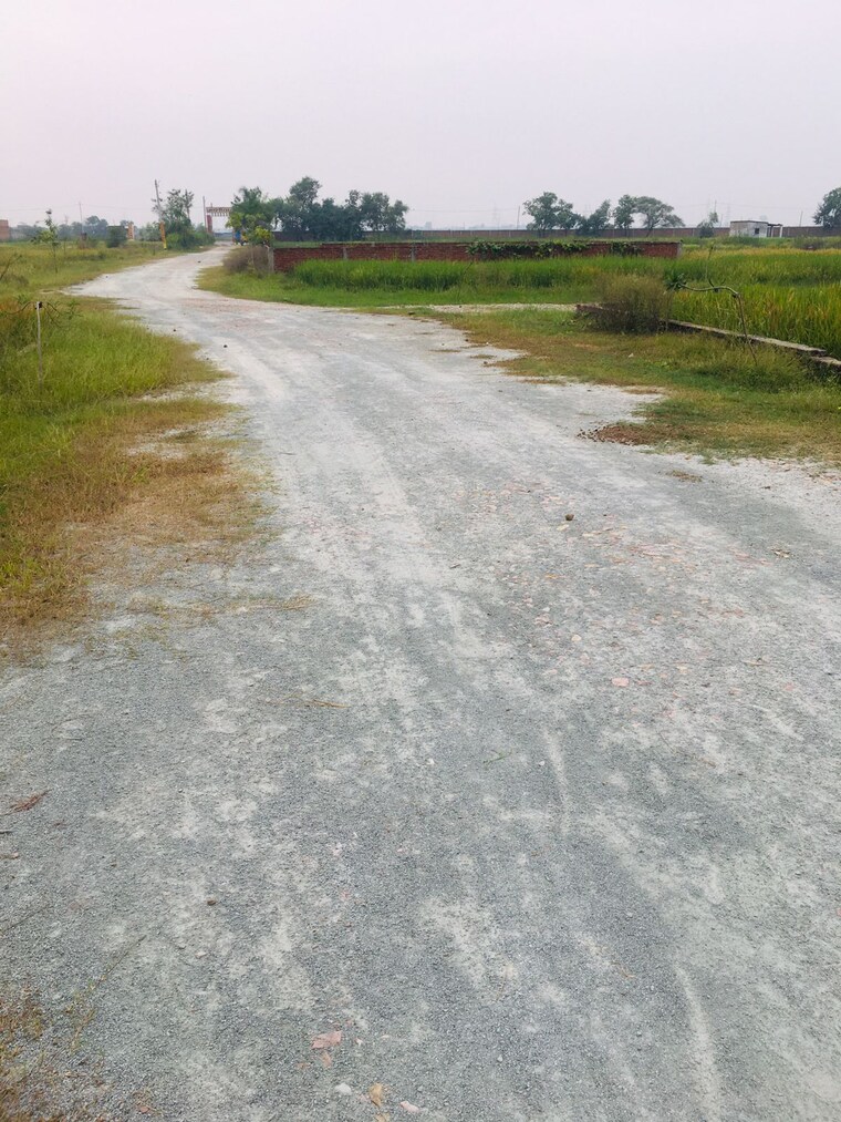 Garden, mughal sarai  1360 Sq.Ft. Plot In Mughal Sarai Varanasi 9505388