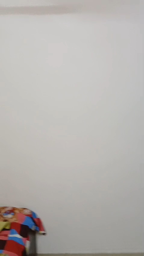 1 BHK Apartment For Sale in Swadeshi CHS