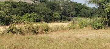 Plot Area in  Plot at Igatpuri – for Sale