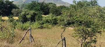 Plot Area in  Plot at Igatpuri – for Sale