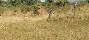 Plot Area in  Plot at Igatpuri – for Sale