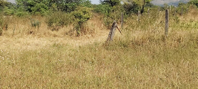 undefined, igatpuri  1 Acre Plot In Igatpuri Nashik 9505608