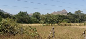  Plot For Sale in Igatpuri