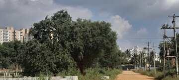 Plot Area in  Plot at Aishwarya Aerogrand, Devanahalli – for Sale