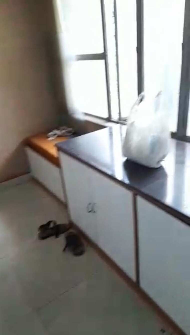 Team Area, camac street Commercial Office Space 1400 Sq.Ft. In Camac Street Kolkata 9505726