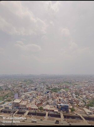 2 BHK Apartment For Rent in Gaur City 2 - 14th Avenue, Sector 16c Greater Noida