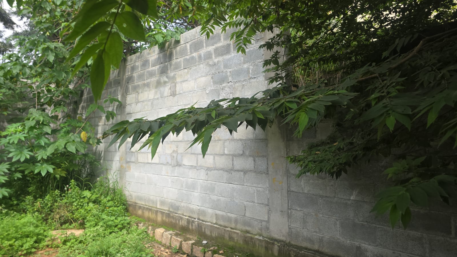 Land For Sale in Basappa Complex