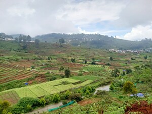  Plot For Sale in Kodaikanal