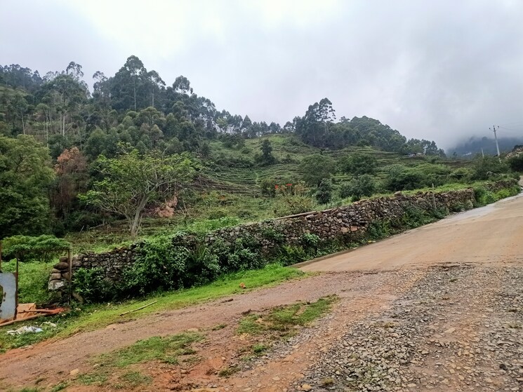undefined, kodaikanal  10500 Sq.Ft. Plot In Kodaikanal Dindigul 9506289