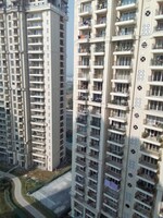 3 BHK + Study Room 2150 Sq.Ft. Apartment in ATS Marigold