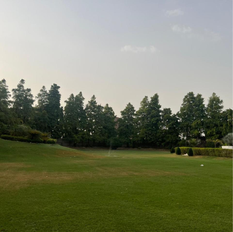 Garden, chattarpur 3 Bedroom 12000 Sq.Yd. Villa In Chattarpur Delhi 9506444