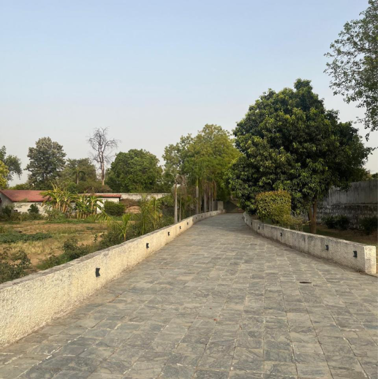 Exterior View, chattarpur 3 Bedroom 12000 Sq.Yd. Villa In Chattarpur Delhi 9506444