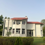 3 BHK 12000 Sq.Yd. Villa in Chattarpur