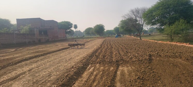 undefined, ganpati-estate  1246 Sq.Ft. Plot In Parao Varanasi 9506519