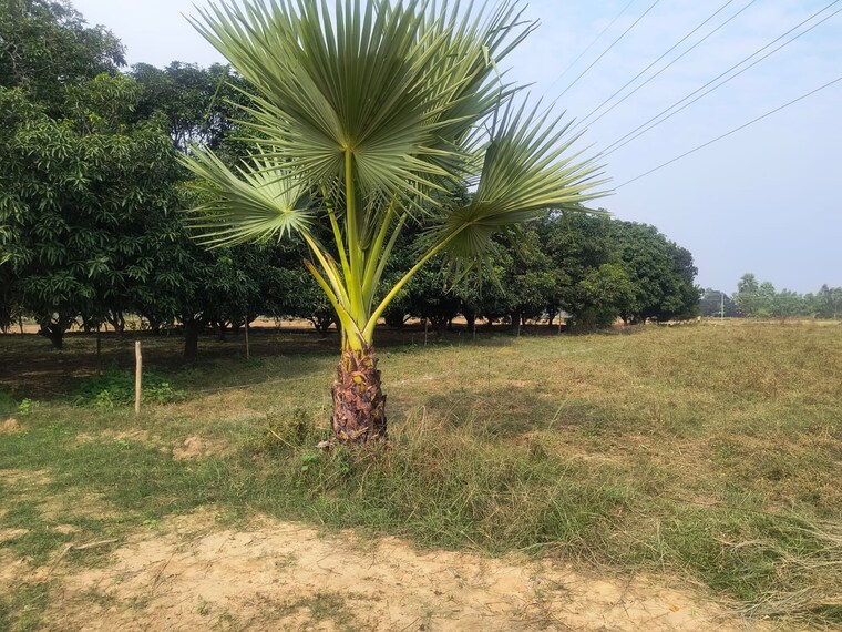 Garden, kanpur road  600 Sq.Ft. Plot In Kanpur Road Lucknow 9506863