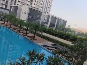 1 BHK Apartment For Sale in Hinjewadi