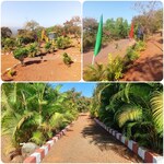 20000 Sq.Ft. Plot in Kokan City
