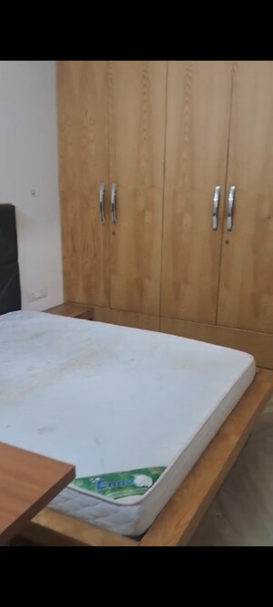 Room in 3 BHK Builder Floor at Pitampura – for Rent