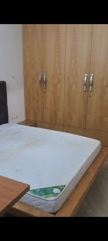 Room in 3 BHK Builder Floor at Pitampura – for Rent