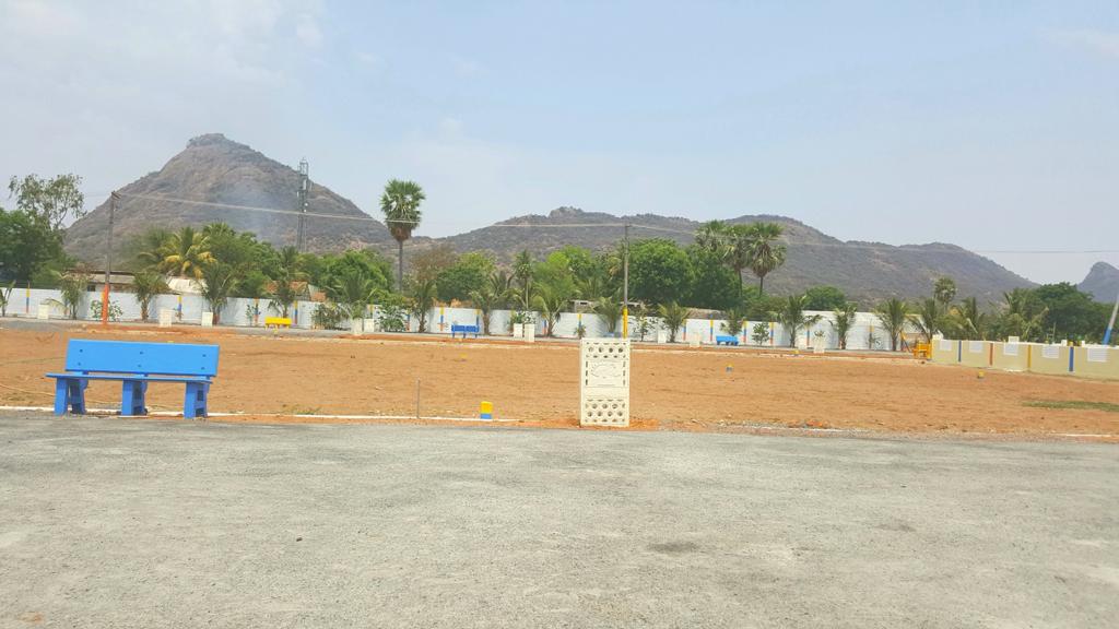 Plot For Sale in Tadikonda