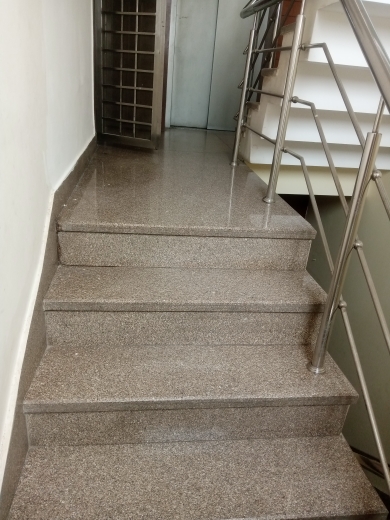 5 BHK Villa For Sale in Vasant Vihar