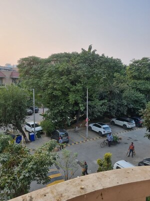 3 BHK Apartment – Garden View at Today Blossoms I, Sector 47 - for Rent