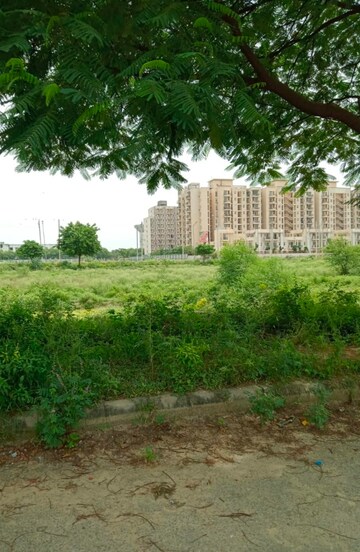  Plot For Sale in BPTP District, Sector 81