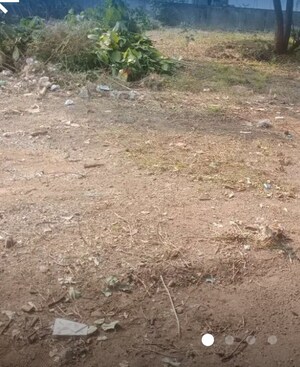 Plot Area in  Plot at Akota – for Sale