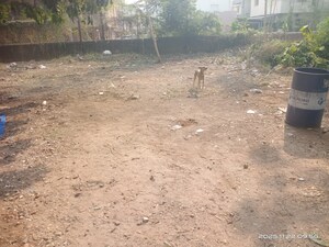 Plot Area in  Plot at Akota – for Sale