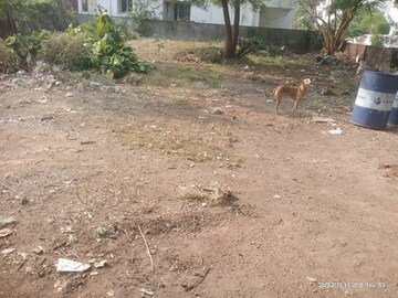 Plot Area in  Plot at Akota – for Sale