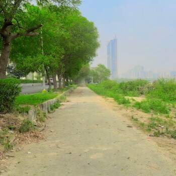 Plot for Sale in Alpha Ii Greater Noida, Greater Noida